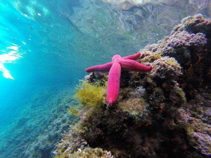 Aperitivo on the boat during sunset time in Palinuro - Final Thoughts