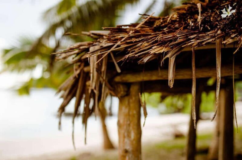 Apia Port: Cruise Guests Shore Excursion - Cultural and Historic Sights Along the Way