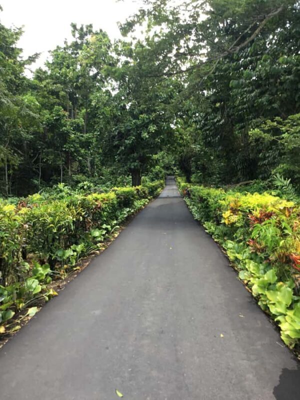 Apia Port: Cruise Guests Shore Excursion - FAQ About the Apia Port Shore Excursion