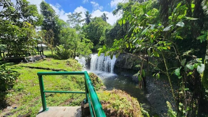 Apia: Upolu Island Full-Day Tour with a Local Guide - Key Points