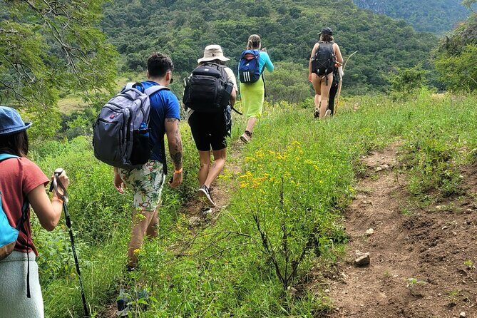 Apoala Magic Waterfalls Hike and Swim Adventure - Who Should Consider This Tour?