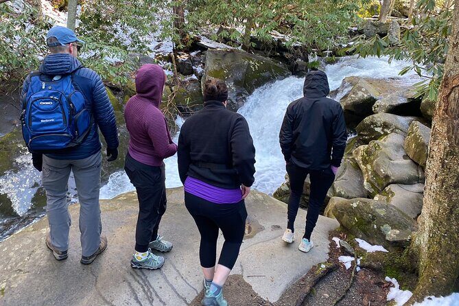 Appalachian Waterfalls Hike - Pricing and Value Analysis