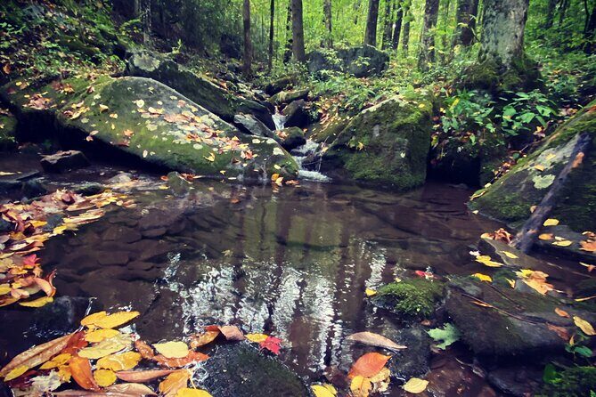 Appalachian Waterfalls Hike - Who Is This Tour Best For?