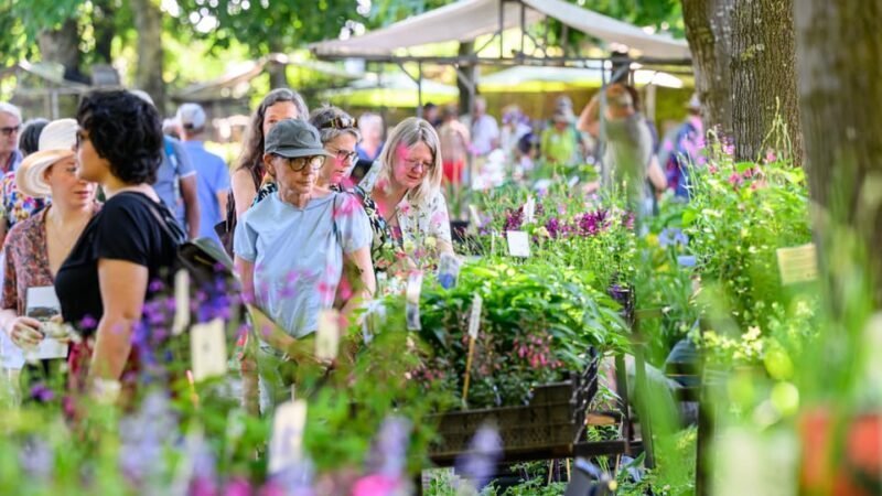 Appeltern: Flower Park Appeltern Entry Ticket - Key Points