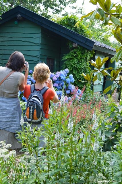 Appeltern: Flower Park Appeltern Entry Ticket - A Deep Dive into the Flower Park Experience