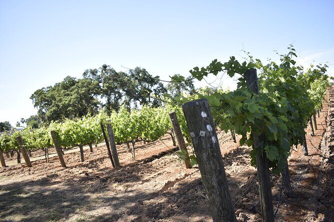 Apple Hill Wine Tasting Tours And Placerville wine tasting tours - Final thoughts