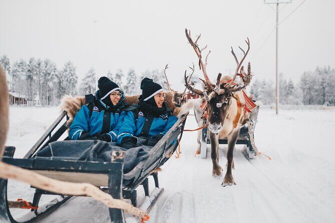 Apukka Reindeer Journey - Who Should Consider This Tour?