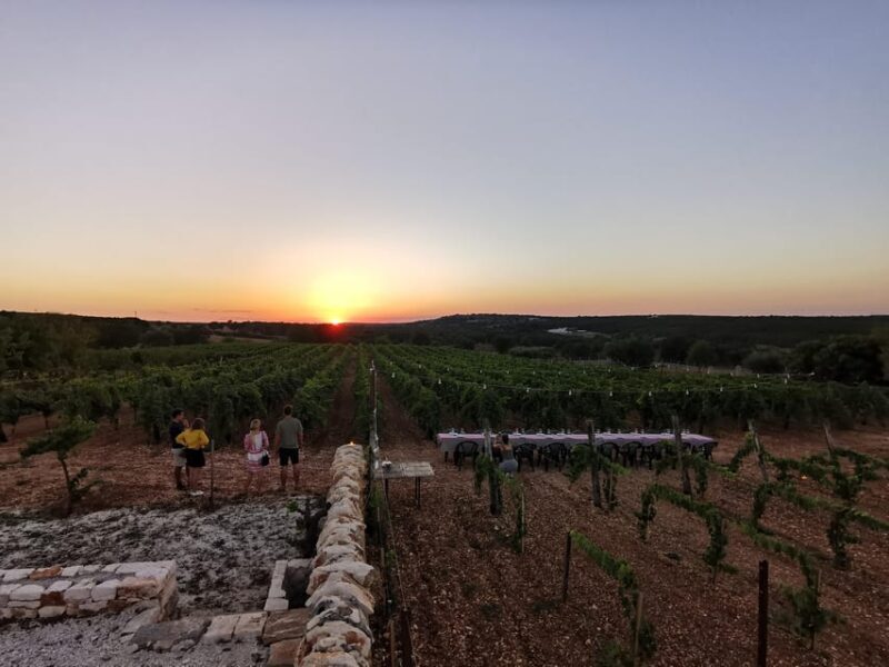 Apulia: Guided Wine Tasting with Local Appetizers - Who Would Enjoy This Tour?