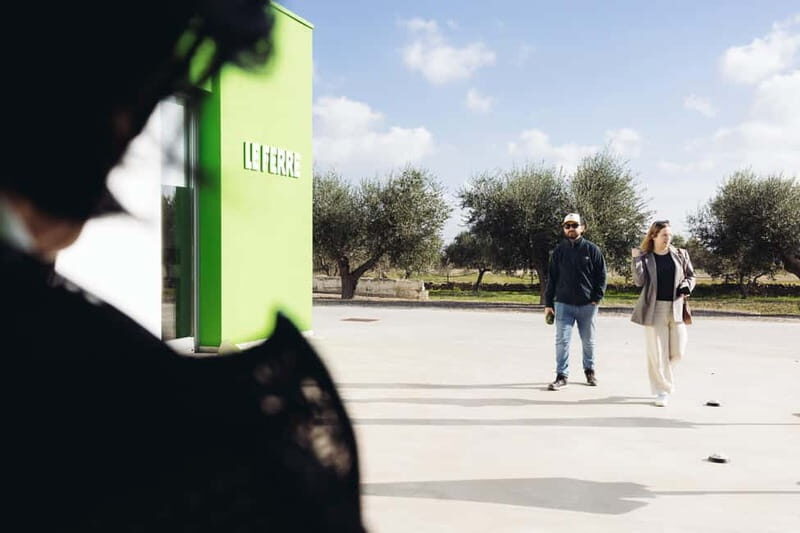 Apulia: oil tour, from field, to bottle, to food matching - Exploring Apulia’s Olive Oil Journey: From Tree to Table