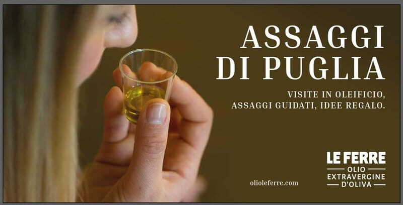 Apulia: oil tour, from field, to bottle, to food matching - What’s Included and Practical Details