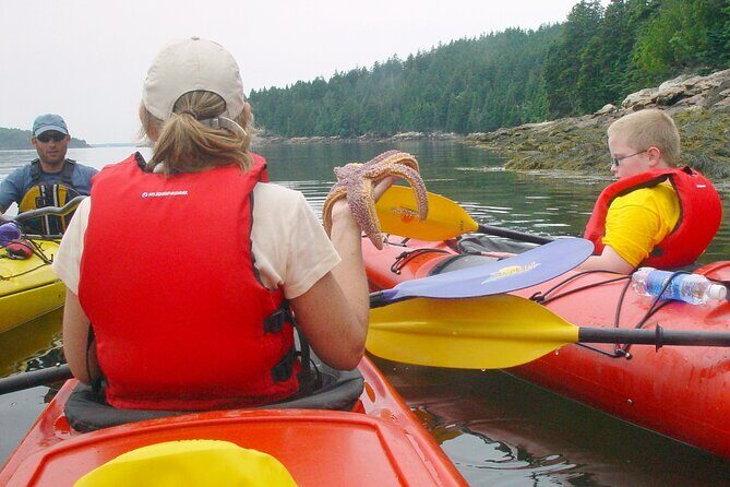 Aqua Safari Kayak tour departing Southwest Harbor - Who Will Love This Tour?
