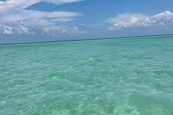Aqua Sol Adventures-4.5 hour Private Snorkeling,Dolphin,shelling - Who Is This Tour Best For?