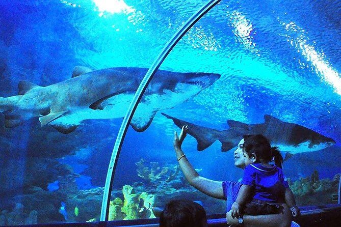 Aquaria KLCC Admission with Kuala Lumpur City Famous Landmarks - What to Expect From the Tour