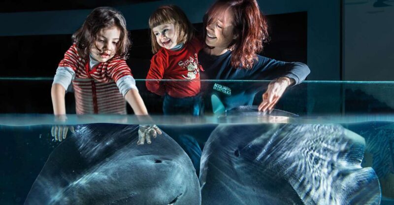 Aquarium of Cattolica Entry Ticket - Key Points