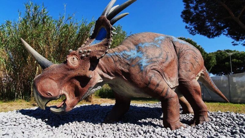 Aquarium of Cattolica Entry Ticket - Who Will Love This Experience?