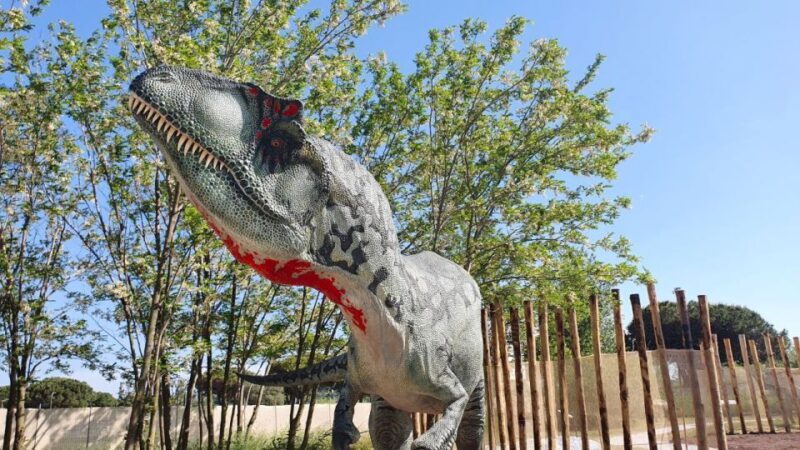 Aquarium of Cattolica Entry Ticket - Final Thoughts