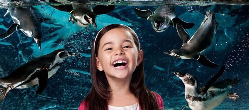 Aquarium of Cattolica Entry Ticket - FAQ