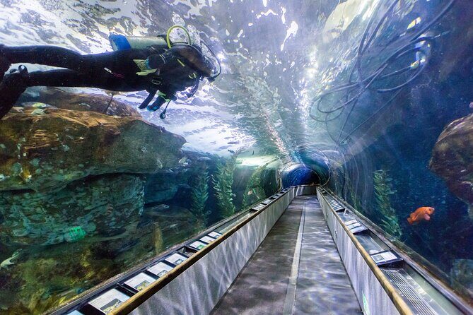 Aquarium of the Bay VIP Experience - What Makes the Experience Unique?