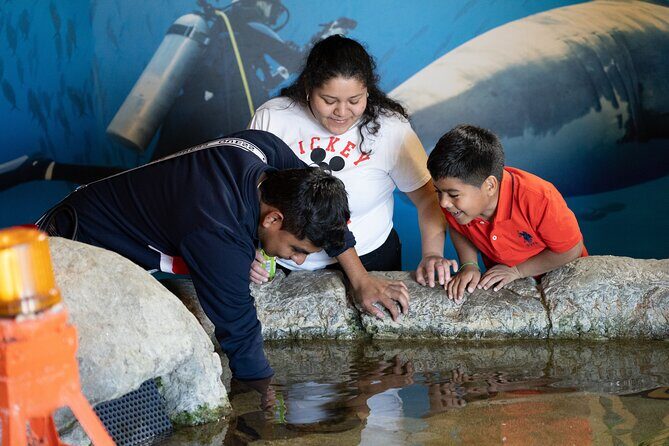 Aquarium of the Bay VIP Experience - Accessibility and Practicalities