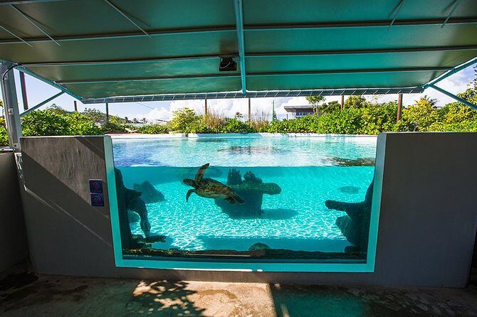 Aquarium Package in Nouméa's with Admission with Hop-on Hop-Off - Final Thoughts: Is It Worth It?