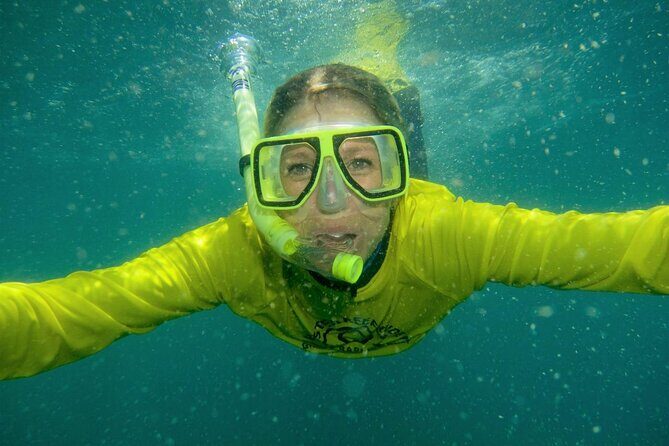 Aquascene Circumnavigation Magnetic Island Tour - The Sum Up