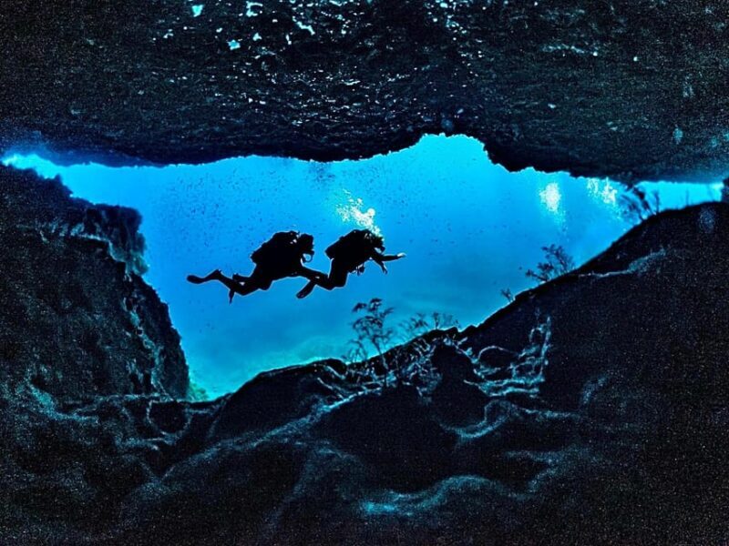 Aquatic Day Escape - Trips in Gozo, Comino & Malta - An In-Depth Look at the Aquatic Day Escape Experience