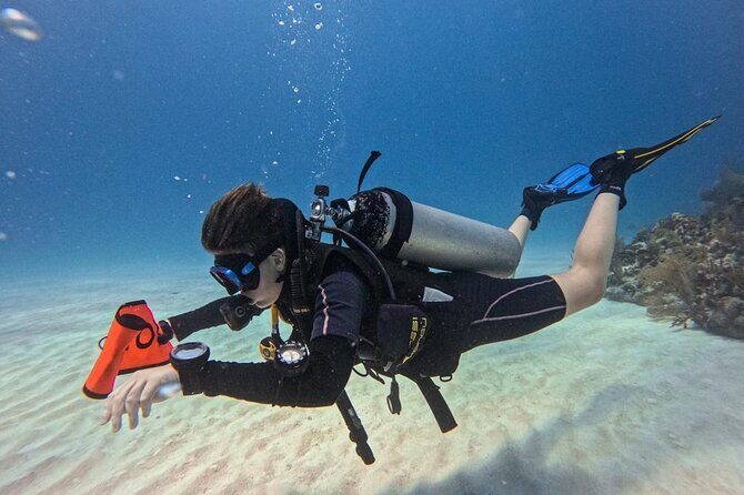 Aquatic Wonderland: Discover Meso's Magic" - Authenticity and Personal Touch