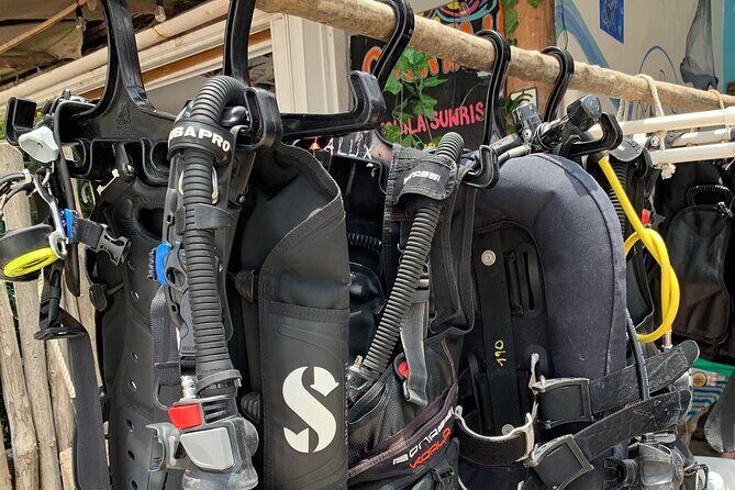 Aquatic Wonderland: Discover Meso's Magic" - The Sum Up: Is It Worth It?