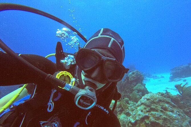 Aquatic Wonderland: Discover Meso's Magic" - FAQ