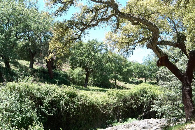 Aracena & Riotinto Mines Tour from Seville - FAQ