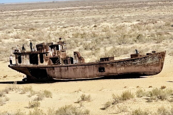 Aral Sea One Day Tour from Tashkent - A Deep Dive Into the Tour Experience