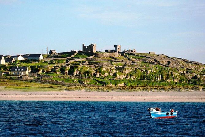 Aran Island, Cliffs of Moher & Cruise tour from Galway. Guided. - What Reviewers Say