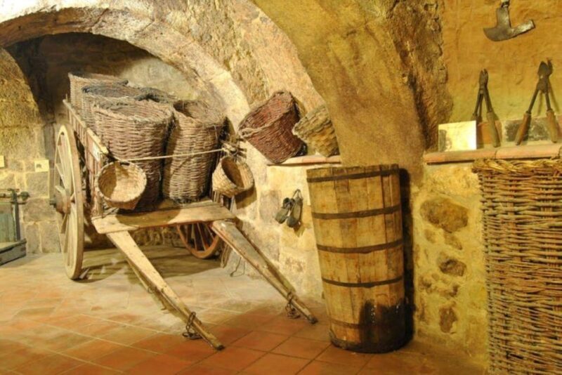Aranda de Duero: Tour of Underground Cellar and Wine Museum - The Experience in Detail