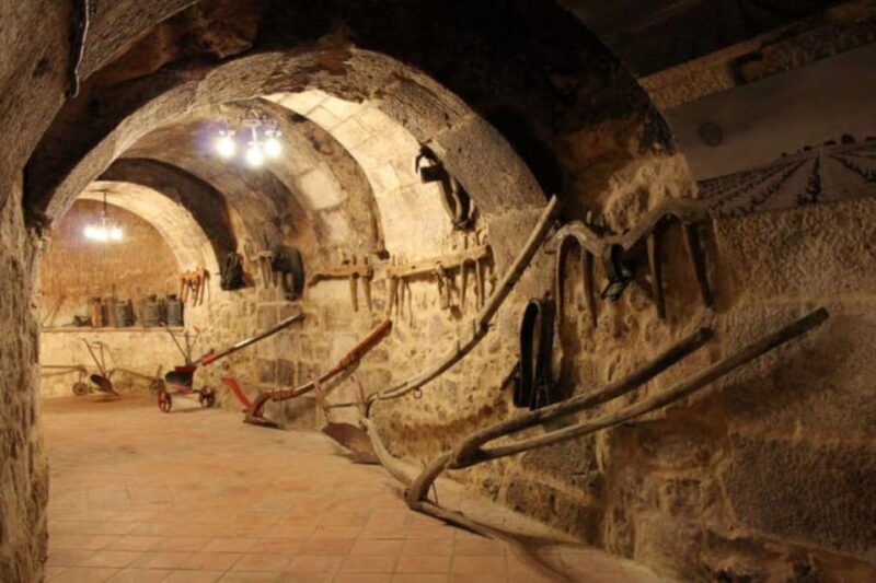 Aranda de Duero: Tour of Underground Cellar and Wine Museum - Final Thoughts