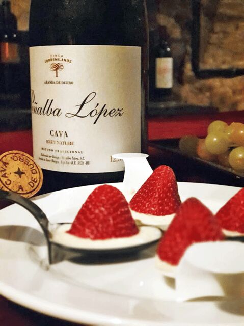 Aranda de Duero: Wine Pairing Tasting Course & Mini Tapas - The Tasting Course and Mini Tapas