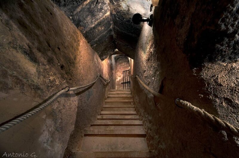 Aranda de Duero: Wine Tasting Course with Iberian Tasting - Key Points