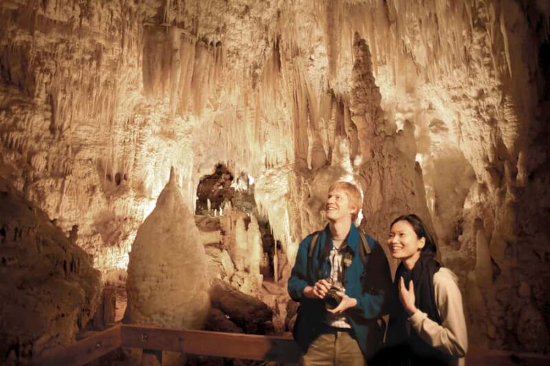 Aranui Cave 1-Hour Guided Tour - The Experience in Detail