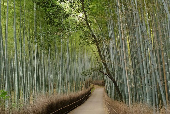 Arashiyama Bamboo Forest E-Biking Tour - Practical Details and Value