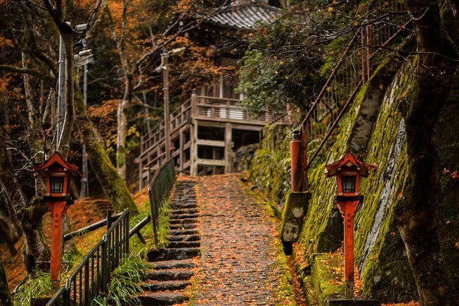 Arashiyama Bamboo Forest E-Biking Tour - Final Thoughts: Is It Worth It?