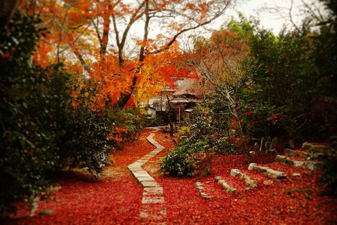Arashiyama Bamboo Forest & Hidden Gems Bike Tour (Early Bird) - Practical Aspects and Tips