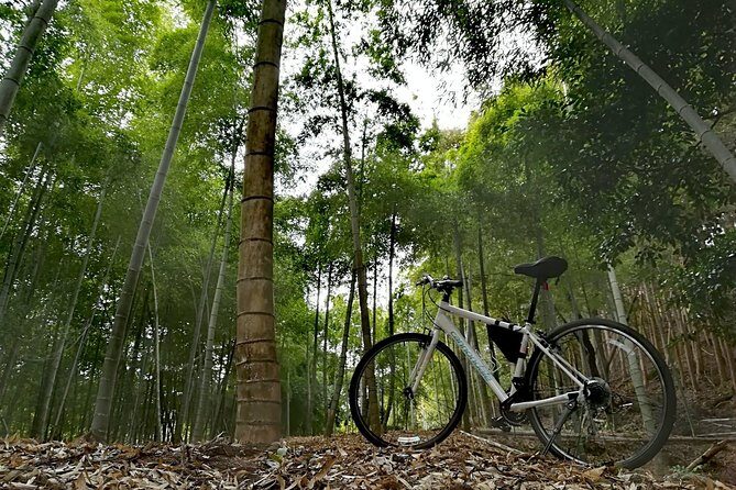 Arashiyama Bamboo Forest & Hidden Gems Bike Tour (Early Bird) - Final Thoughts