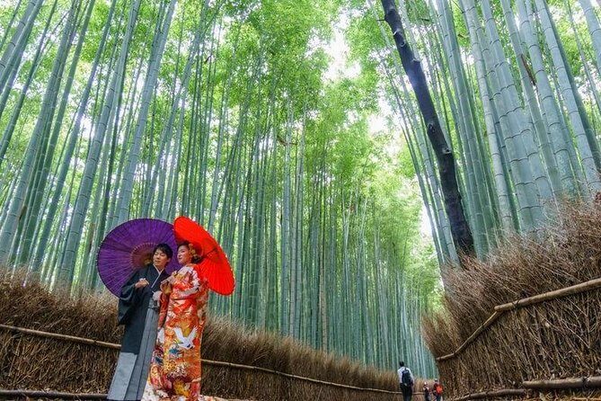 Arashiyama Bamboo Grove Day Trip from Kyoto with a Local: Private & Personalized - A Deep Dive into the Itinerary and Experience