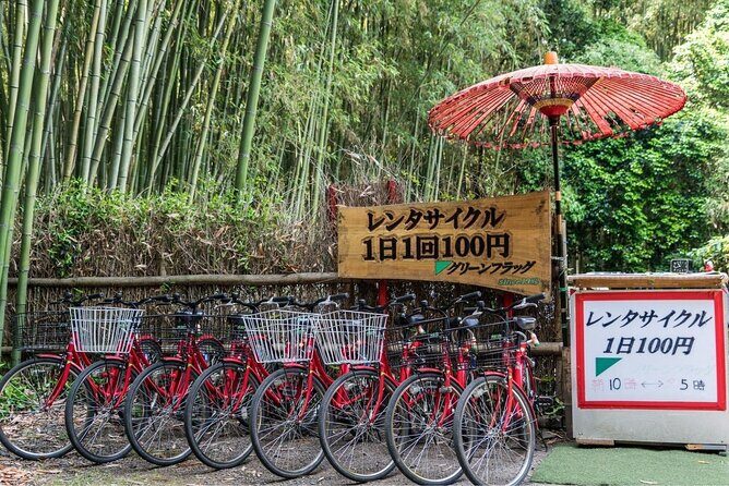 Arashiyama Bamboo Grove Day Trip from Kyoto with a Local: Private & Personalized - Final Thoughts