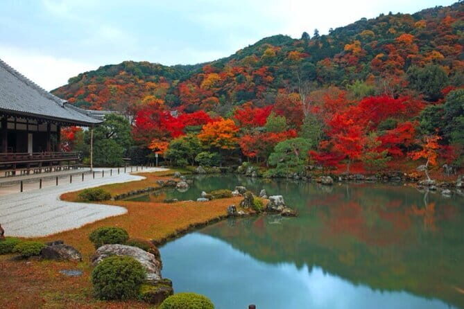 Arashiyama Bamboo & "Must See" Gardens with an Amazing Guide - Who Is This Tour Perfect For?
