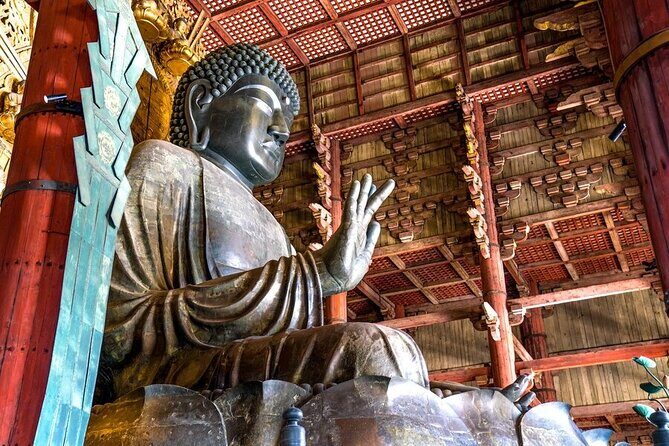 Arashiyama & Nara Highlights: One-Day Private Tour Adventure - An In-Depth Look at the Tour Experience