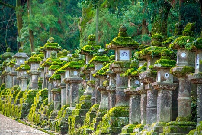 Arashiyama & Nara Highlights: One-Day Private Tour Adventure - Who Should Consider This Tour?