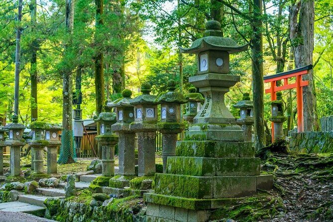 Arashiyama & Nara Highlights: One-Day Private Tour Adventure - Final Thoughts