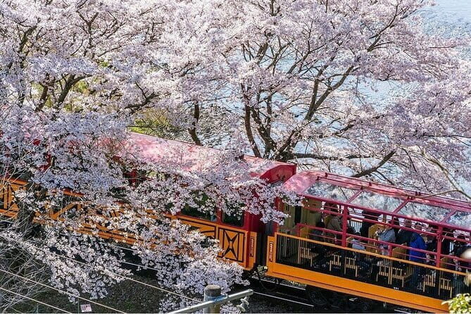 Arashiyama Sagano Romantic TrainFushimi Inari Taisha & Nara Park - An In-Depth Look at the Tour Experience