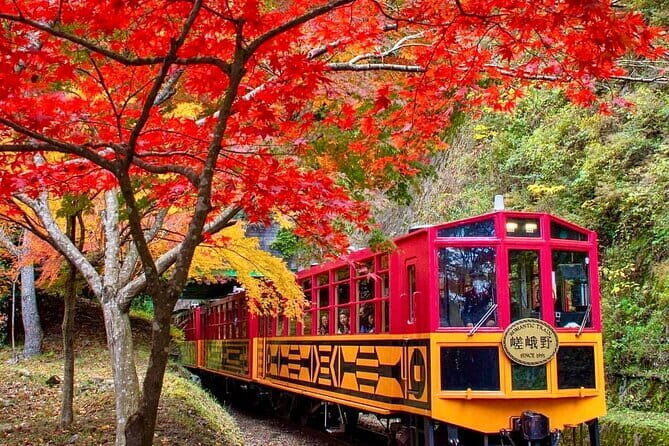 Arashiyama Sagano Romantic TrainFushimi Inari Taisha & Nara Park - Final Thoughts