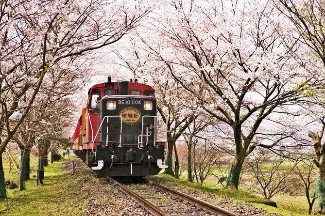 Arashiyama, SanzenIn and Bamboo Forest Day Tour from Kyoto/Osaka - Who Is This Tour Best For?